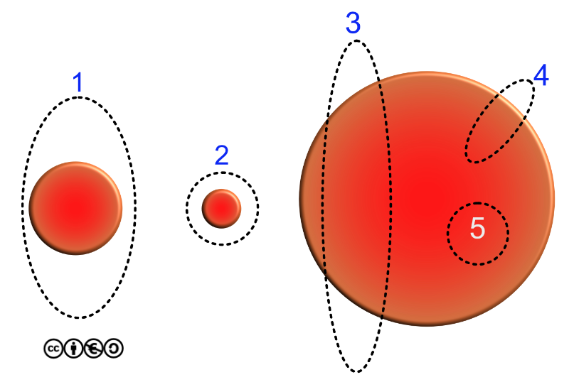 surgery excisions type of