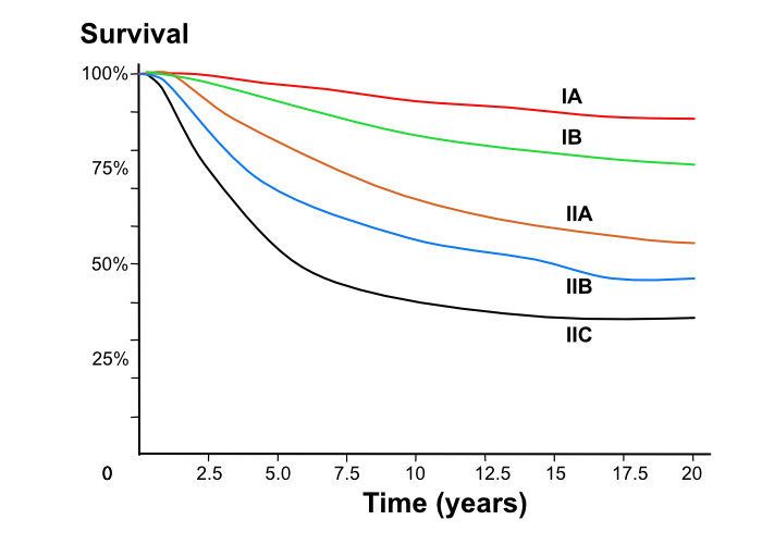 melanoma survival 03